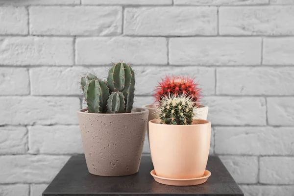 Beaux Cactus Dans Des Pots Fleurs Sur Table Près Mur — Photo