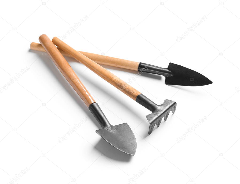 New rake and trowels on white background. Professional gardening tools