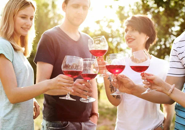 Jovens Com Copos Vinho Livre Piquenique Verão — Fotografia de Stock