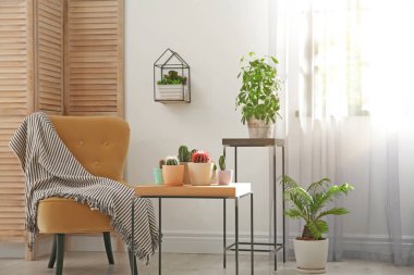 Şık odası iç güzel kaktüsler ve rahat sandalye