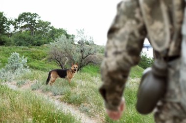 Alman çoban köpek açık havada ile askeri üniformalı erkeklere