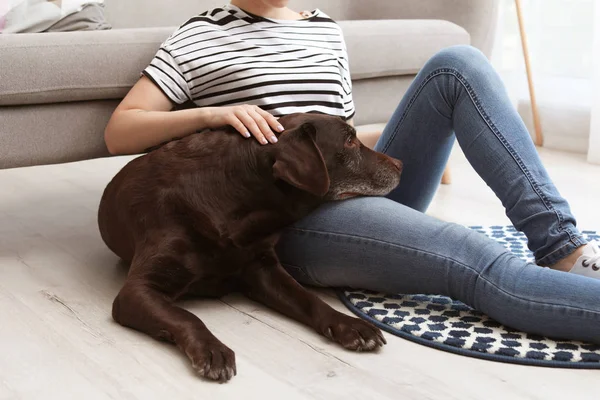 自宅の所有者と愛らしい茶色ラブラドル レトリーバー犬 — ストック写真