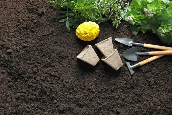 植物と土壌のプロ園芸工具フラット レイアウト構成 — ストック写真