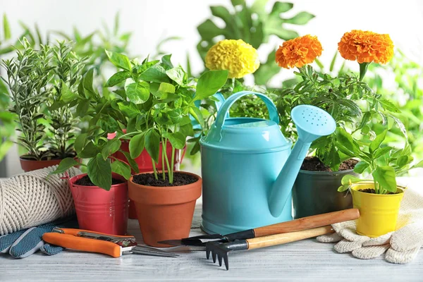 Plantas Herramientas Jardinería Sobre Mesa Madera — Foto de Stock