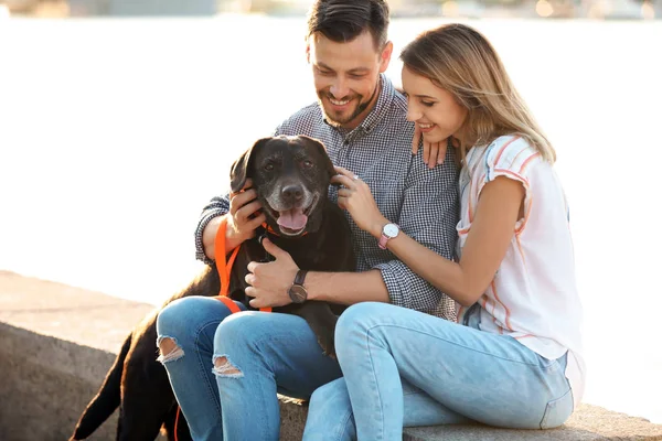 Niedliche Braune Labrador Retriever Mit Besitzern Freien — Stockfoto