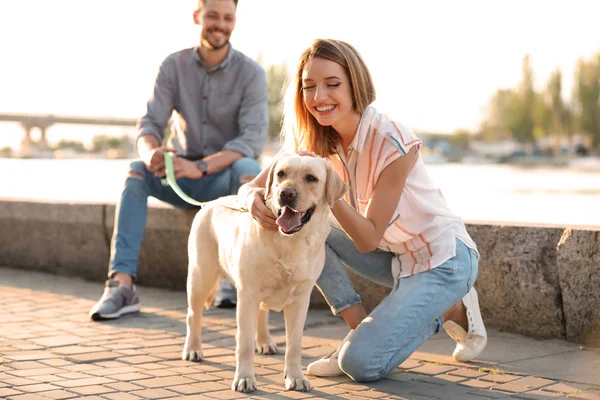 Lindo Labrador Amarillo Recuperador Con Propietarios Aire Libre — Foto de Stock