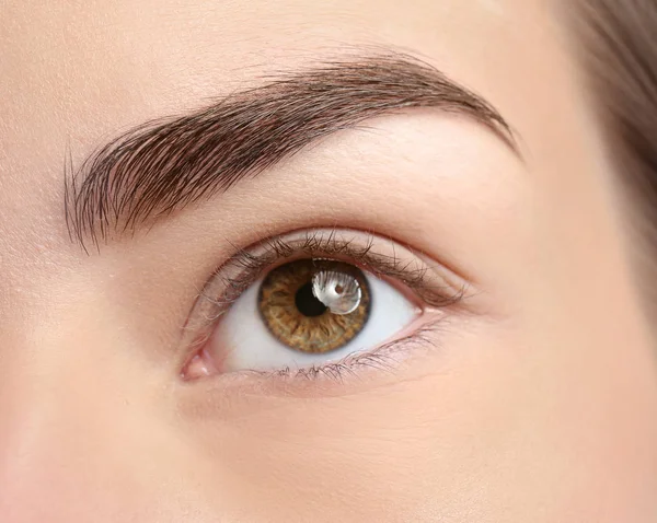 Beautiful Woman Perfect Eyebrow Closeup — Stock Photo, Image