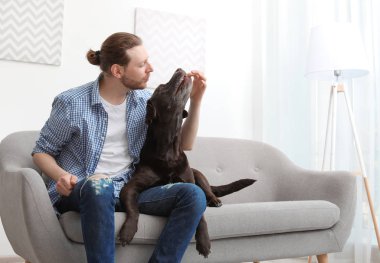 Kanepede kapalı sahibi ile çok güzel kahverengi labrador geri almak