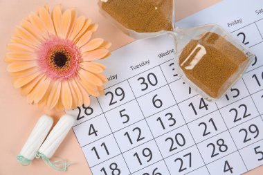 Takvim, çiçek ve tampon renk arka plan üzerinde düz yatıyordu kompozisyonu. Jinekolojik Check-up