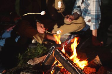 Şenlik ateşi üzerinde Marshmallows geceleri, closeup kızartma arkadaşlar. Kamp sezon