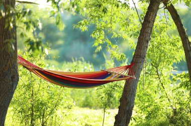 Güneşli bir gün açık havada boş hamak. Yaz Kampı