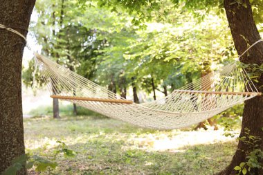 Güneşli bir gün açık havada boş hamak. Yaz Kampı