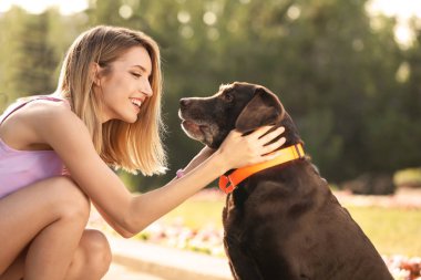 Açık havada sahibi ile şirin kahverengi labrador geri almak
