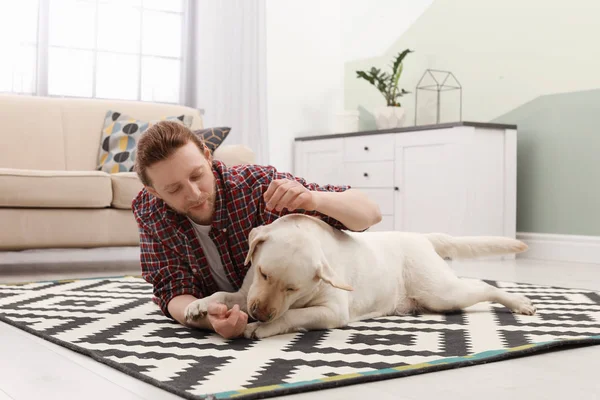 Roztomilý Žlutý Labrador Rešeršér Majitelem Doma — Stock fotografie