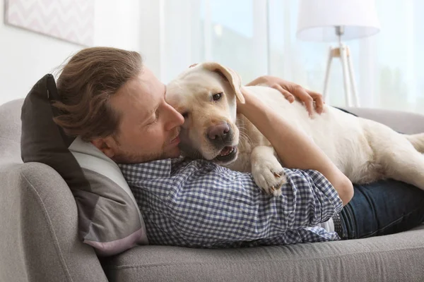 Adorável Amarelo Labrador Retriever Com Proprietário Sofá Dentro Casa — Fotografia de Stock