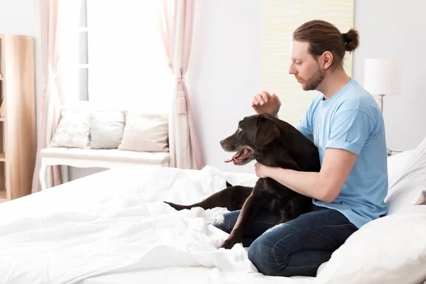 室内のベッドの上の所有者と愛らしい茶色ラブラドル レトリーバー犬 — ストック写真