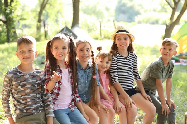 Niños Pequeños Aire Libre Día Soleado Campamento Verano — Foto de Stock