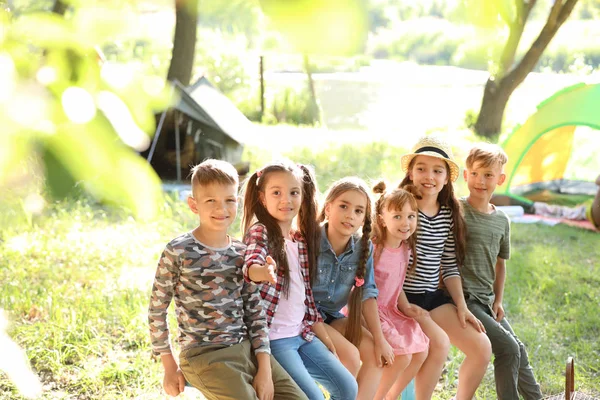 Niños Pequeños Aire Libre Día Soleado Campamento Verano — Foto de Stock