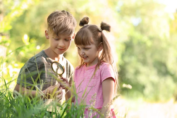 Niños Pequeños Explorando Plantas Aire Libre Campamento Verano — Foto de Stock