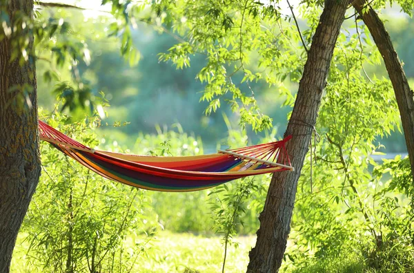 Güneşli bir gün açık havada boş hamak. Yaz Kampı