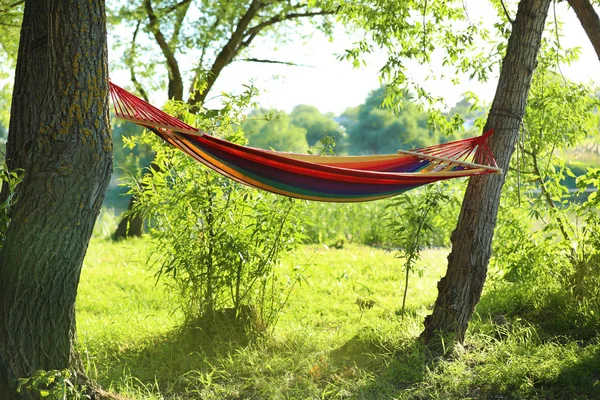 Güneşli bir gün açık havada boş hamak. Yaz Kampı
