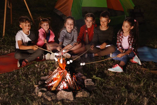 Küçük çocuklar gece şenlik ateşi üzerinde Marshmallows kızartma. Yaz Kampı