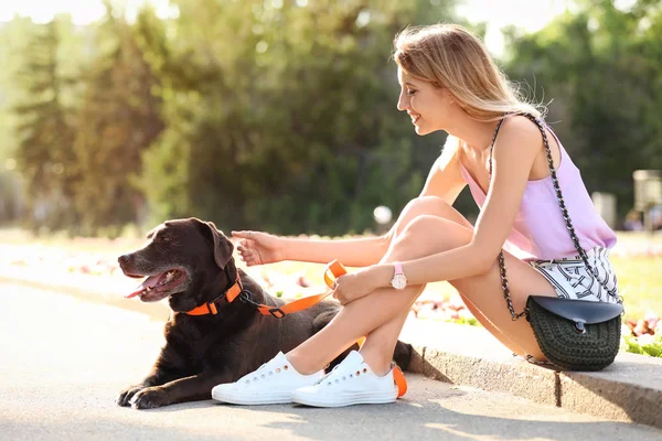 Lindo Labrador Marrón Recuperador Con Propietario Aire Libre — Foto de Stock