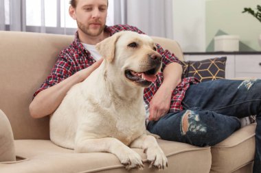 Kanepede kapalı sahibi ile Adorable sarı labrador geri almak