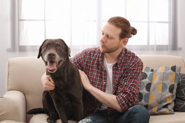 Kanepede kapalı sahibi ile çok güzel kahverengi labrador geri almak