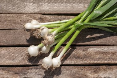 Taze sarımsak ampuller ahşap arka plan, üstten görünüm