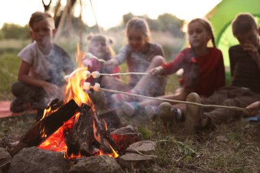 Küçük çocuklar şenlik ateşi üzerinde Marshmallows kızartma. Yaz Kampı