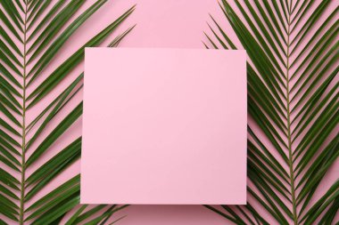 Tropikal yapraklarda renk arka plan, üstten görünüm ile güzel kompozisyon