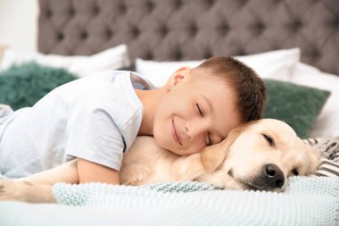 Yatakta evde onun Evcil hayvan ile şirin küçük çocuk