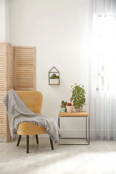 Intérieur Élégant Avec Beaux Cactus Chaise Confortable — Photo