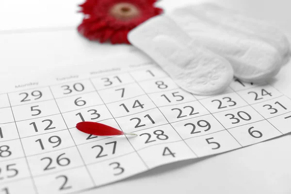 Menstruationspolster Und Kalender Mit Rotem Blütenblatt Auf Dem Tisch Gynäkologische — Stockfoto