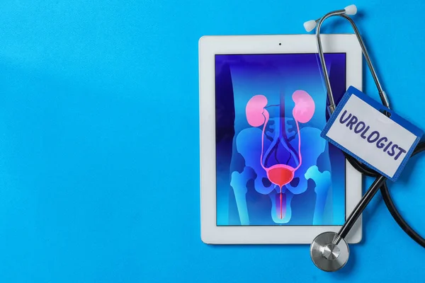 Composition Plat Avec Tablette Stéthoscope Sur Fond Couleur Concept Urologie — Photo