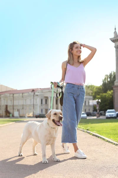 Sahibi onu sarı labrador geri almak açık havada yürüyüş