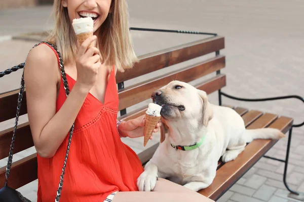 Sahibi onu sarı labrador geri almak açık havada dondurma ile tedavi