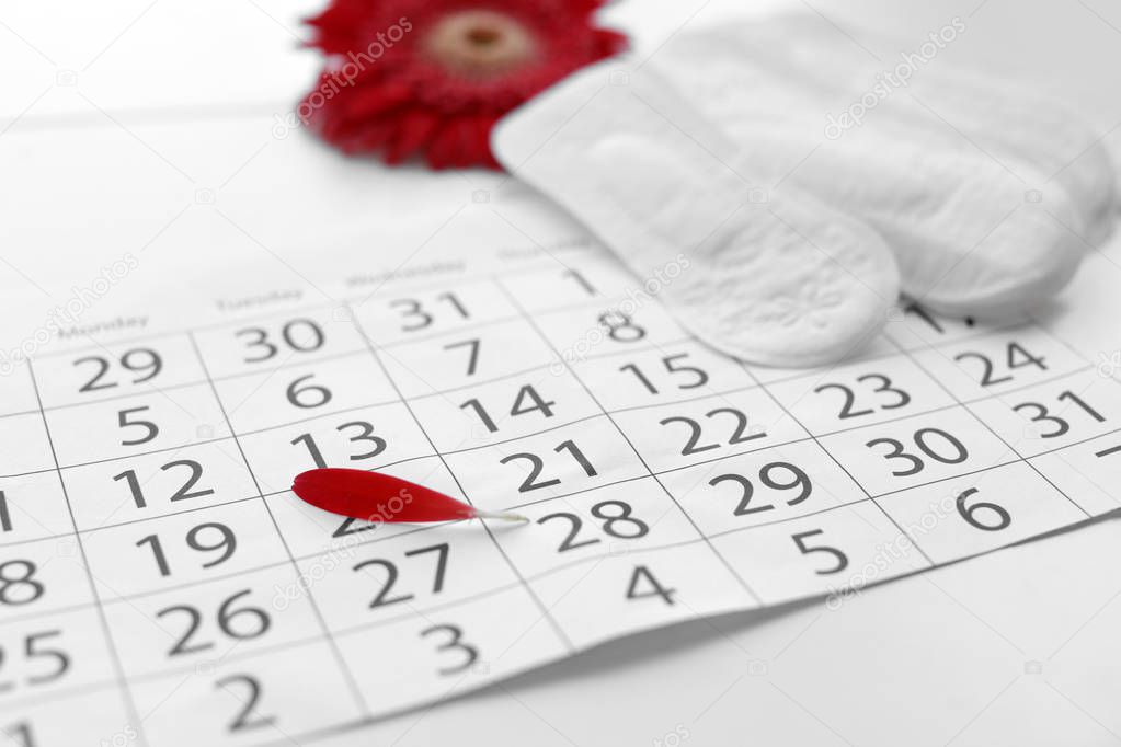 Menstrual pads and calendar with red flower petal on table. Gynecological care