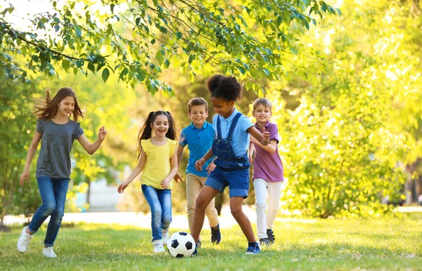 Lindos Niños Pequeños Jugando Con Pelota Aire Libre Día Soleado —  Fotos de Stock