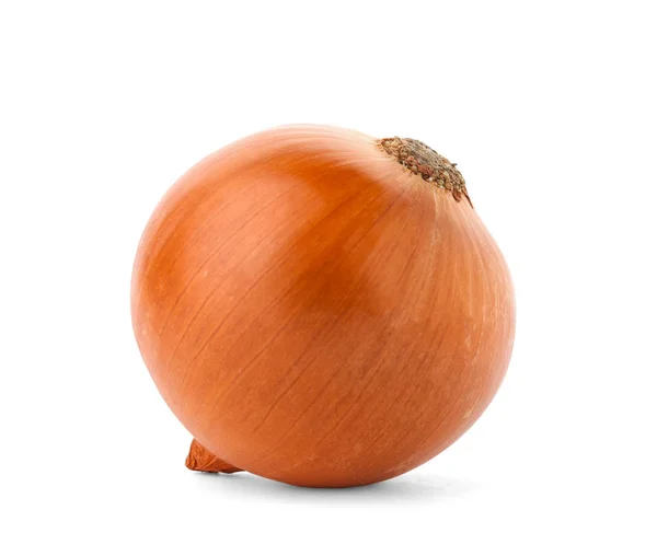 Fresh Ripe Onion White Background — Stock Photo, Image