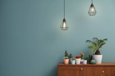 Çiçeklik üzerinde çekmeceli renk duvarının yakınında güzel kaktüsler