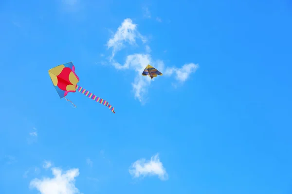 Beautiful Kites Drifting Blue Sky — Stock Photo, Image