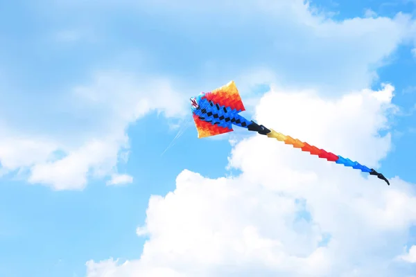 Beautiful Kites Drifting Blue Sky — Stock Photo, Image