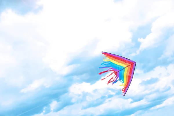美丽的风筝飘在蓝天上 — 图库照片