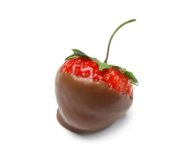 Delicious Chocolate Covered Strawberry White Background — Stock Photo, Image