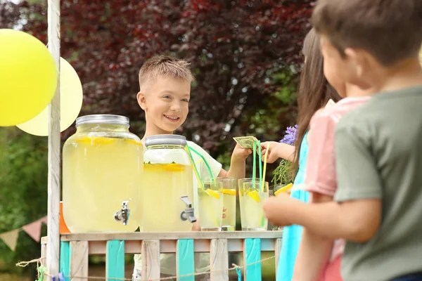 Liten Pojke Säljer Naturliga Lemonad Monter Park — Stockfoto