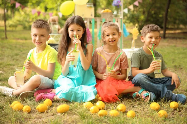 在公园里喝天然柠檬水的小孩 — 图库照片