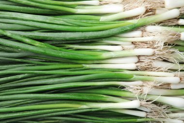Arka plan olarak taze yeşil soğan