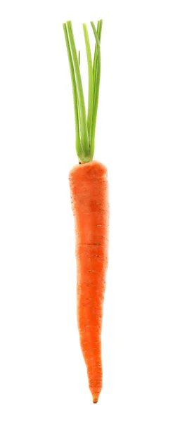 Витерти Свіжу Моркву Білому Тлі — стокове фото